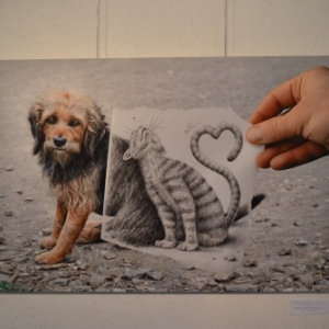 Photo dessin de Ben Heine