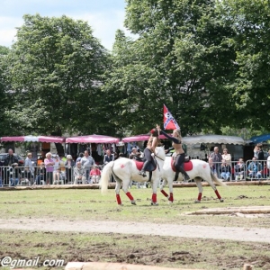 Fete du cheval, Hargnies