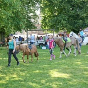 Fete du cheval de trait, Hargnies