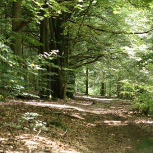 Jeu de piste Gedinne Ecolo