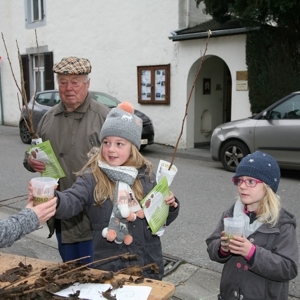 Deux cents plants de petits fruitiers distribues !