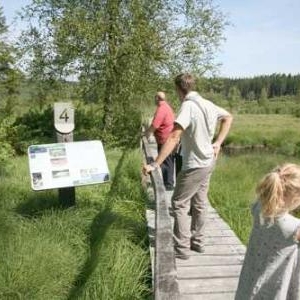 Promeneurs admirant l'Osmonde Royale