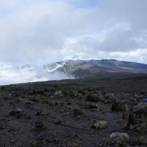 Kwetu Safaris Tanzanie