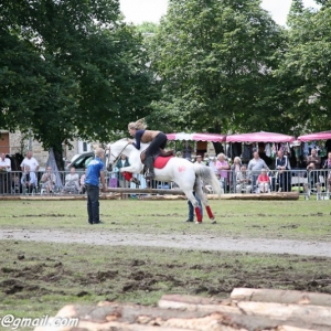 Fete du cheval, Hargnies