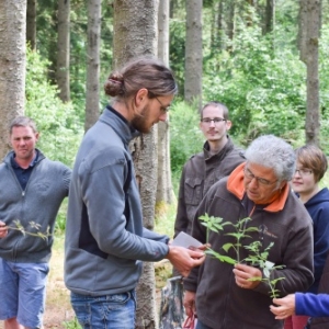 cuisine sauvage et jardinage eco-responsable