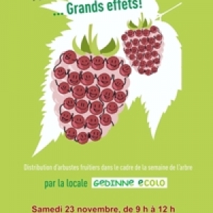 Distribution arbustes fruitiers Gedinne Ecolo