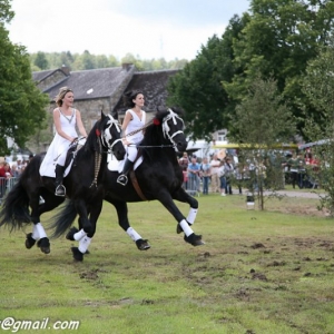 Fete du cheval, Hargnies