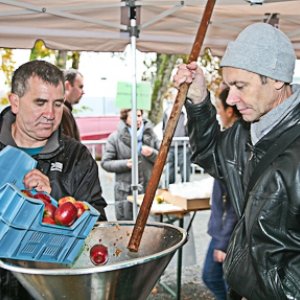 Gedinne Ecolo presse les pommes des gedinnois