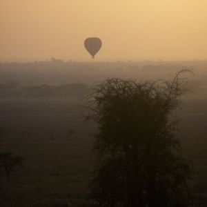 Kwetu Safaris Tanzanie