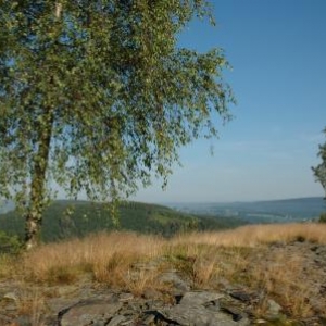 Vue du camp celtique a Salmchateau