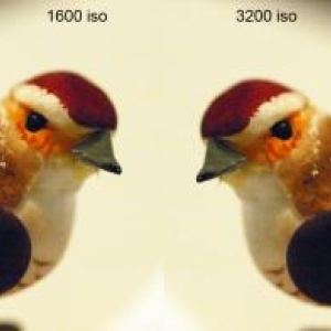 comparaison rendu image en utilisant des sensibilites elevees