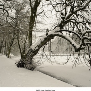 Bois de la Cambre de Bruxelles