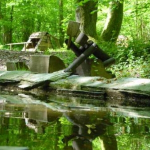 Musee de la foret Musee de la foret