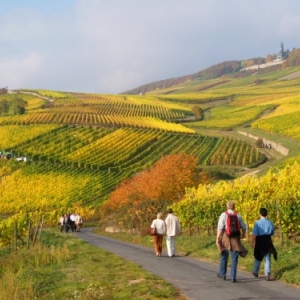 Rudesheim