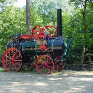 Musee de la foret Musee de la foret