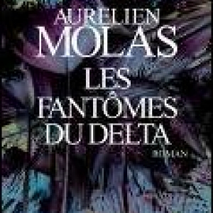 Les fantomes du delta de Aurelien Molas  Editions Albin Michel.