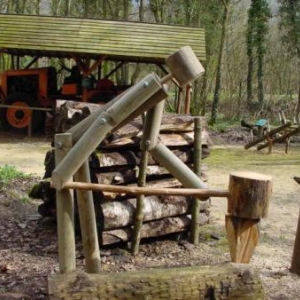 Musee de la foret Musee de la foret