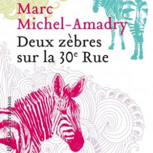 Deux zèbres sur la 30è rue de Marc Michel Amadry  Editions Héloïse d’Ormesson.