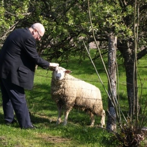 Votre journaliste aime les animaux