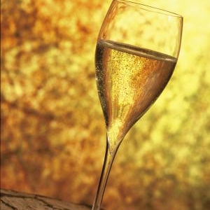 Bienvenue au Pays des Bulles… Bienvenue au Pays des Bulles…