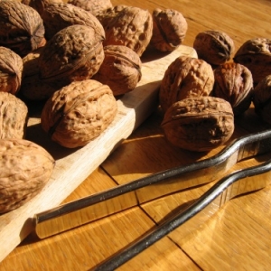 Le Grand séchoir - les noix