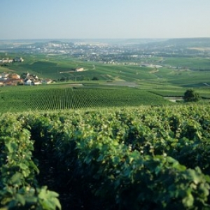 Bienvenue au Pays des Bulles… Bienvenue au Pays des Bulles…