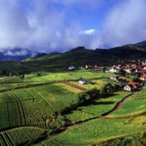 Alsace les vignobles Alsace les vignobles