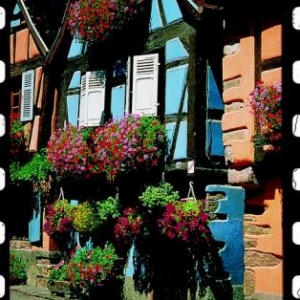 Alsace maison a colombages Alsace maison a colombages