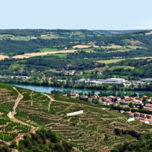 Vienne, vignoble Vienne, vignoble