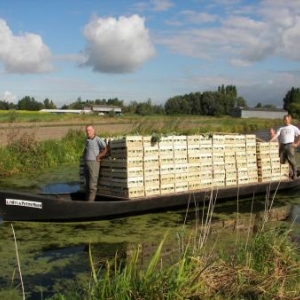 Romelaere, Clairmarais Romelaere, Clairmarais