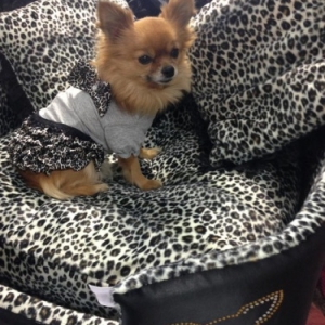 grand sofa pour famille nombreuse 89 euros grand sofa pour famille nombreuse 89 euros