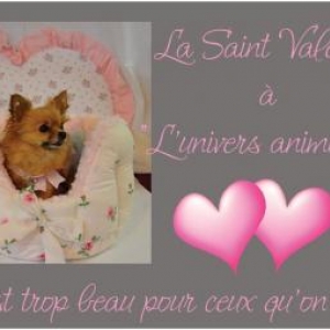 Bientot la st valentin