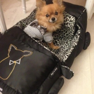 cabriolet T1 49,95 euros T2 89.95 euros cabriolet T1 49,95 euros T2 89.95 euros