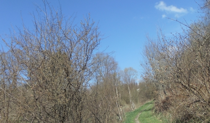 Vélostrade de Houffalize à Taverneux