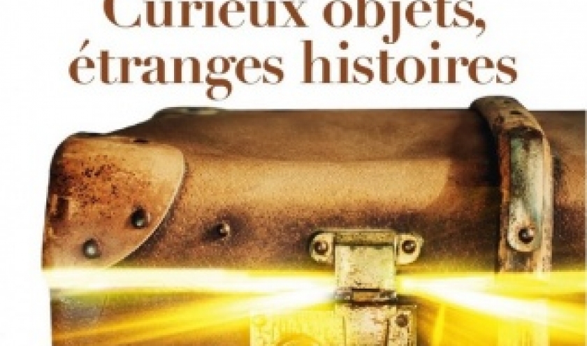 CURIEUX OBJETS, ÉTRANGES HISTOIRES par PIERRE BELLEMARE et VÉRONIQUE LE GUEN chez FLAMMARION 