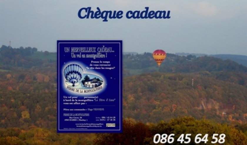 cheque cadeau vol en montgolfiere