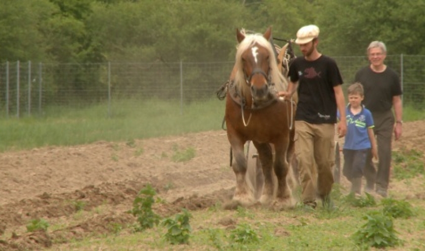 "Qu'est-ce qu'on attend?", à Bruxelles, Charleroi, Liège et Namur