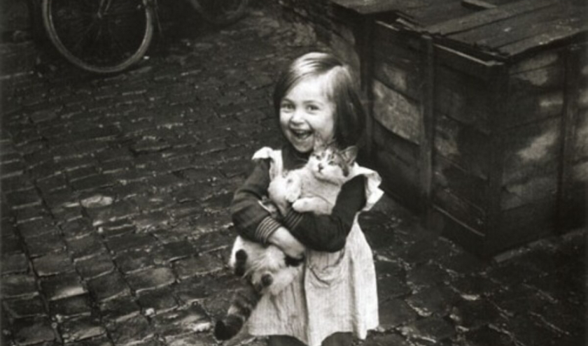« Filllette au Chat » (Jean-Philippe Charbonnier »/1958-1959) © « La Piscine »