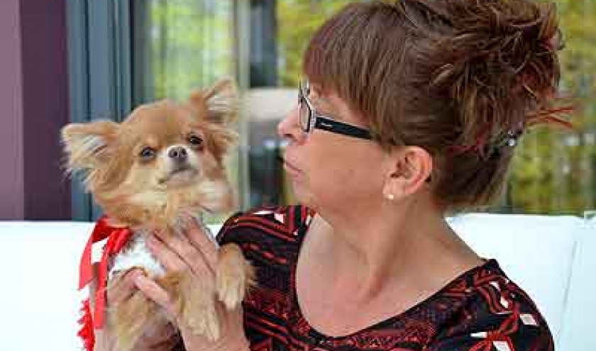 TF1 et les chiens de Sabine Mathieu