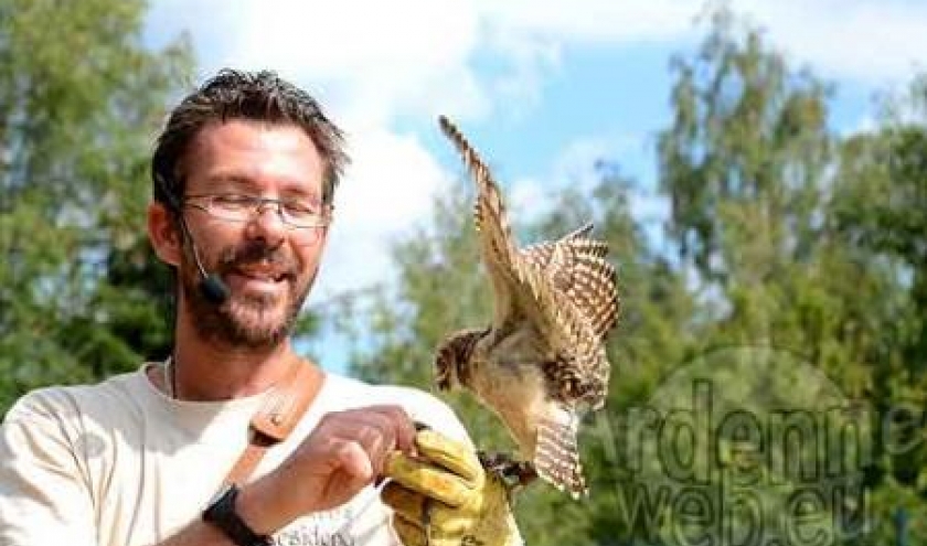 Rapace au Sunparks de Vielsalm-9915