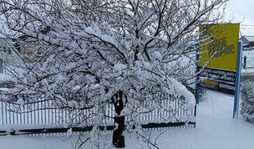 vue de la fenetre de notre bureau. 30cm de neige