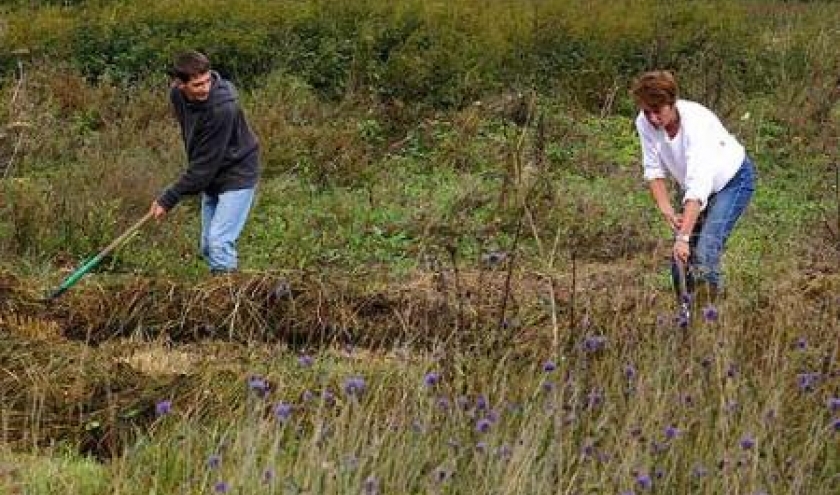 Chantier, gestion,reserve ,naturelle, Marbay