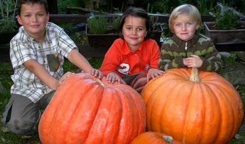 Aiseau. Congé de Toussaint: Halloween chez les Castors