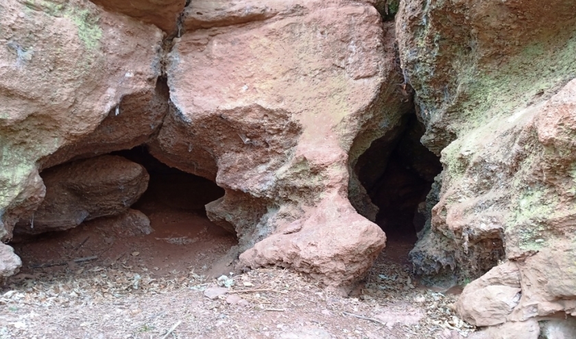 Le site de Basse - Bodeux  ( photo François Detry )