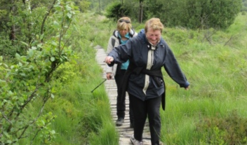 Les caillebotis de la Fagne de la Poleur Apres