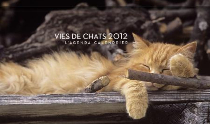 Vies de Chats Agenda 2012  Editions Hugo et Cie.