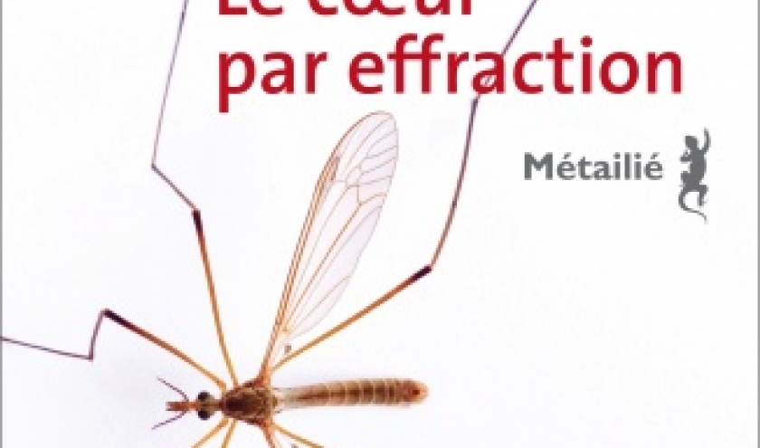 Le Cœur par effraction de James Meek  Editions Metailie.