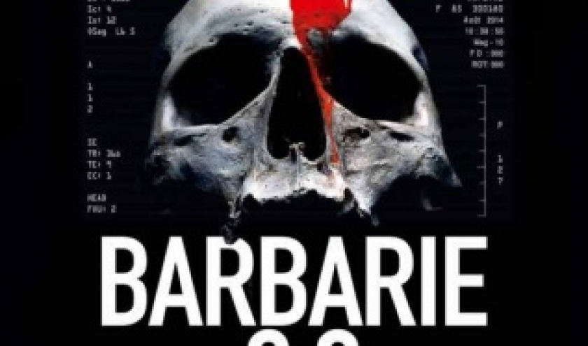 Barbarie 2.0 de Andrea H. Japp   Editions Flammarion.