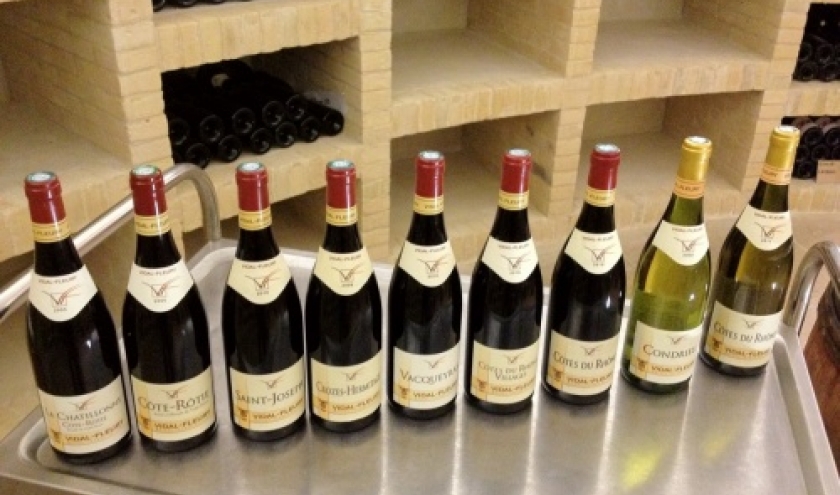 Vienne, Vidal-Fleury 