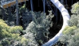 (c) Tasmania Department of Tourism